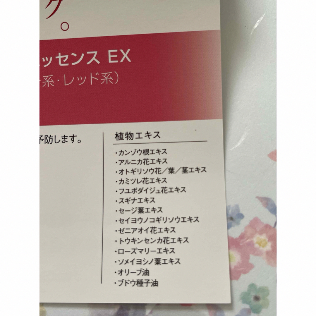 Papilio(パピリオ)の【新品】パピリオ トリートメントリップエッセンス EX2 オレンジ系 コスメ/美容のスキンケア/基礎化粧品(リップケア/リップクリーム)の商品写真