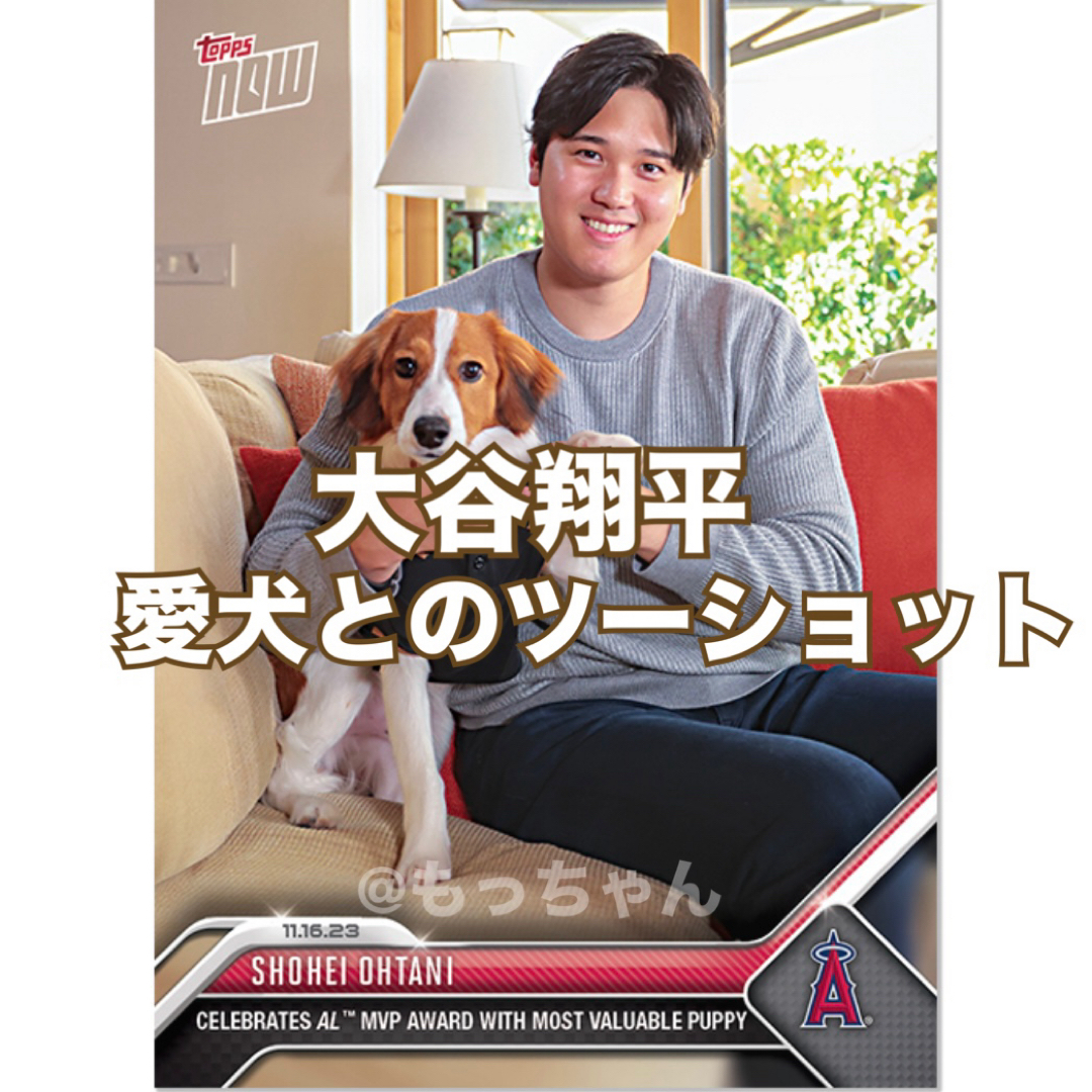 MLB(メジャーリーグベースボール)の大谷翔平 Topps now OS-19 MVP記念 愛犬とのツーショット エンタメ/ホビーのトレーディングカード(シングルカード)の商品写真