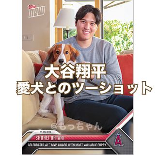 メジャーリーグベースボール(MLB)の大谷翔平 Topps now OS-19 MVP記念 愛犬とのツーショット(シングルカード)