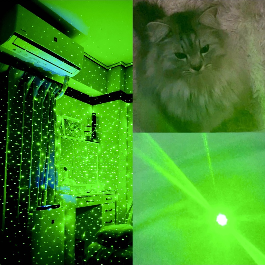 LEDペンライト　レーザー　ポインター　カラス駆除  猫おもちゃ　工事　会議 インテリア/住まい/日用品の文房具(その他)の商品写真