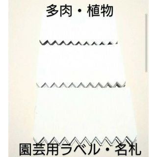 【新品・未使用】園芸用ラベル ホワイト 多肉 植物 名札 お得  300枚セット(その他)