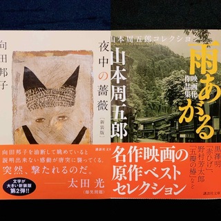 【tanland様専用】話題小説2冊セット「夜中の薔薇」 向田 邦子(文学/小説)