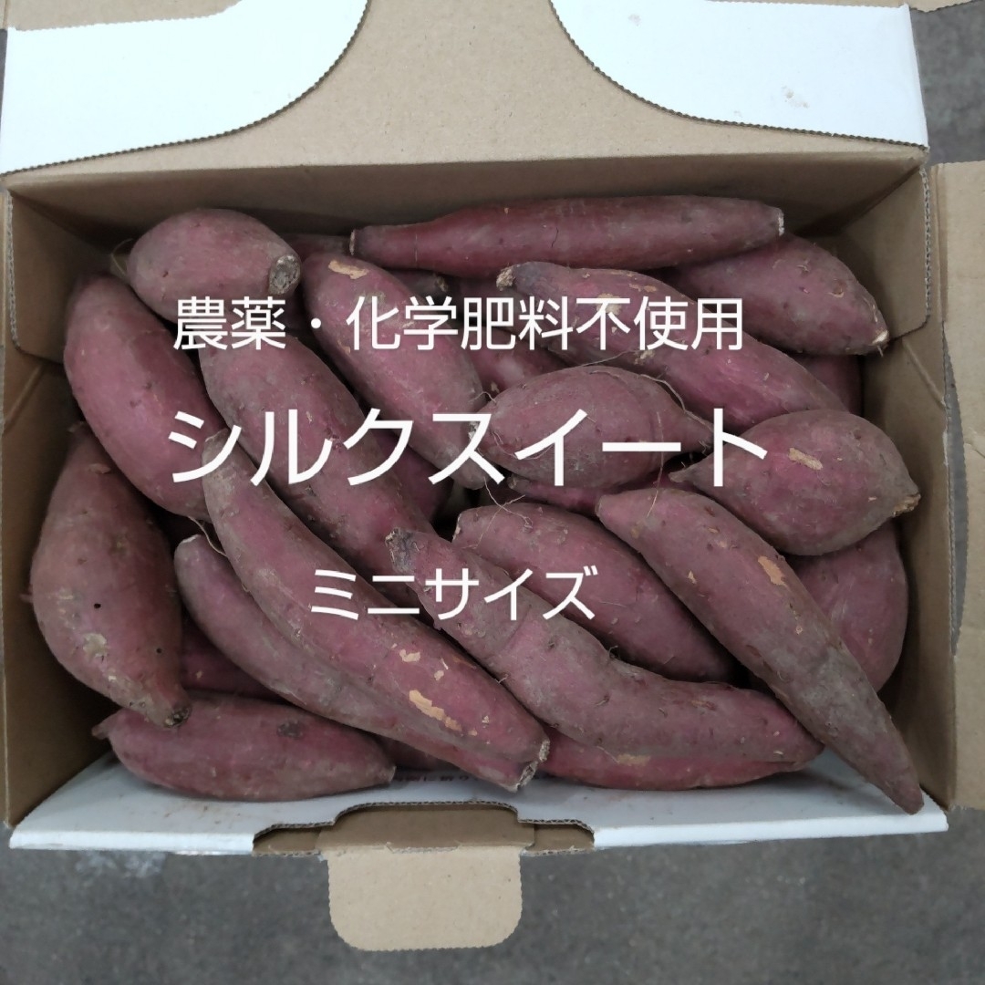 島根県 飯南町産 さつま芋 シルクスイート  農薬・化学肥料不使用 SSサイズ 食品/飲料/酒の食品(野菜)の商品写真