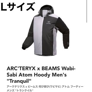 アークテリクス(ARC'TERYX)のAtom Hoody MENS  Lサイズ(ナイロンジャケット)