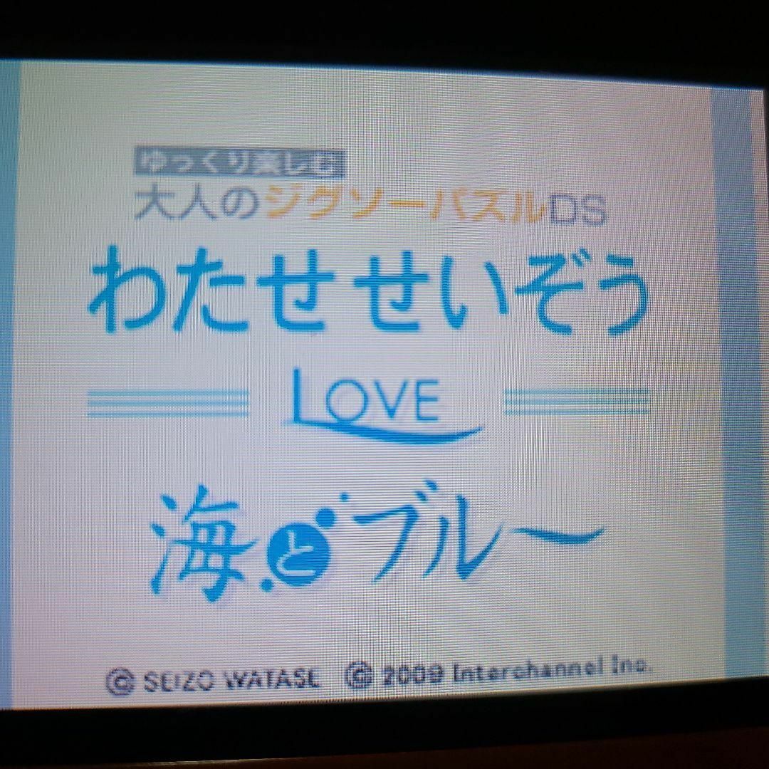 ニンテンドーDS(ニンテンドーDS)のゆっくり楽しむ大人のジグソーパズルDS わたせせいぞう LOVE 海とブルー エンタメ/ホビーのゲームソフト/ゲーム機本体(携帯用ゲームソフト)の商品写真