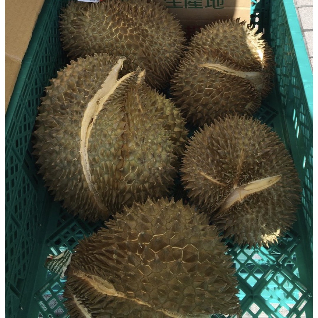 完熟ドリアン　届いたらすぐに食べれる　新鮮ドリアン