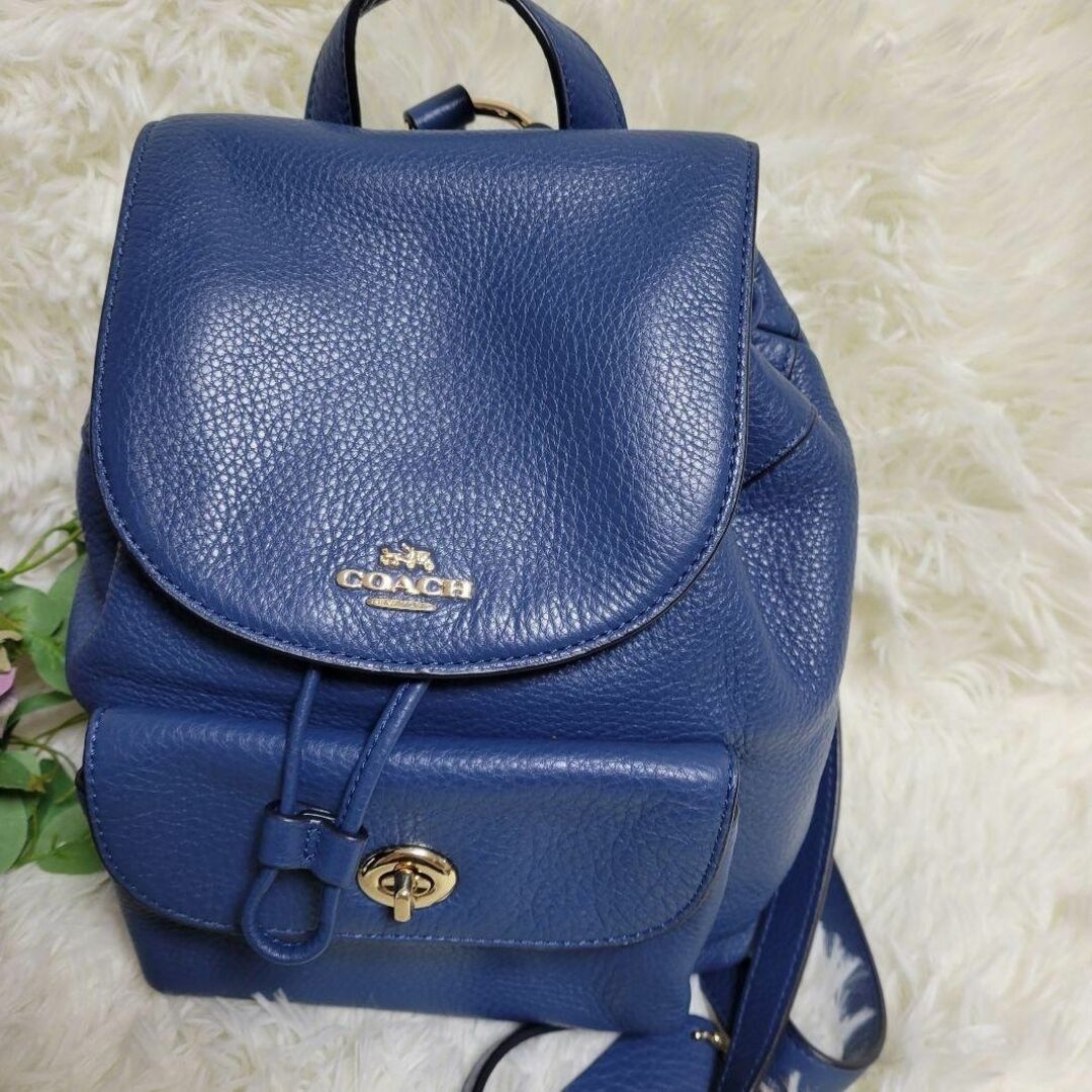 COACH(コーチ)の【極美品】COACH 　コーチ　オールレザー　シボ革　ミニリュック　稀少カラー レディースのバッグ(ショルダーバッグ)の商品写真