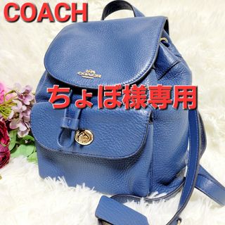 コーチ(COACH)の【極美品】COACH 　コーチ　オールレザー　シボ革　ミニリュック　稀少カラー(ショルダーバッグ)