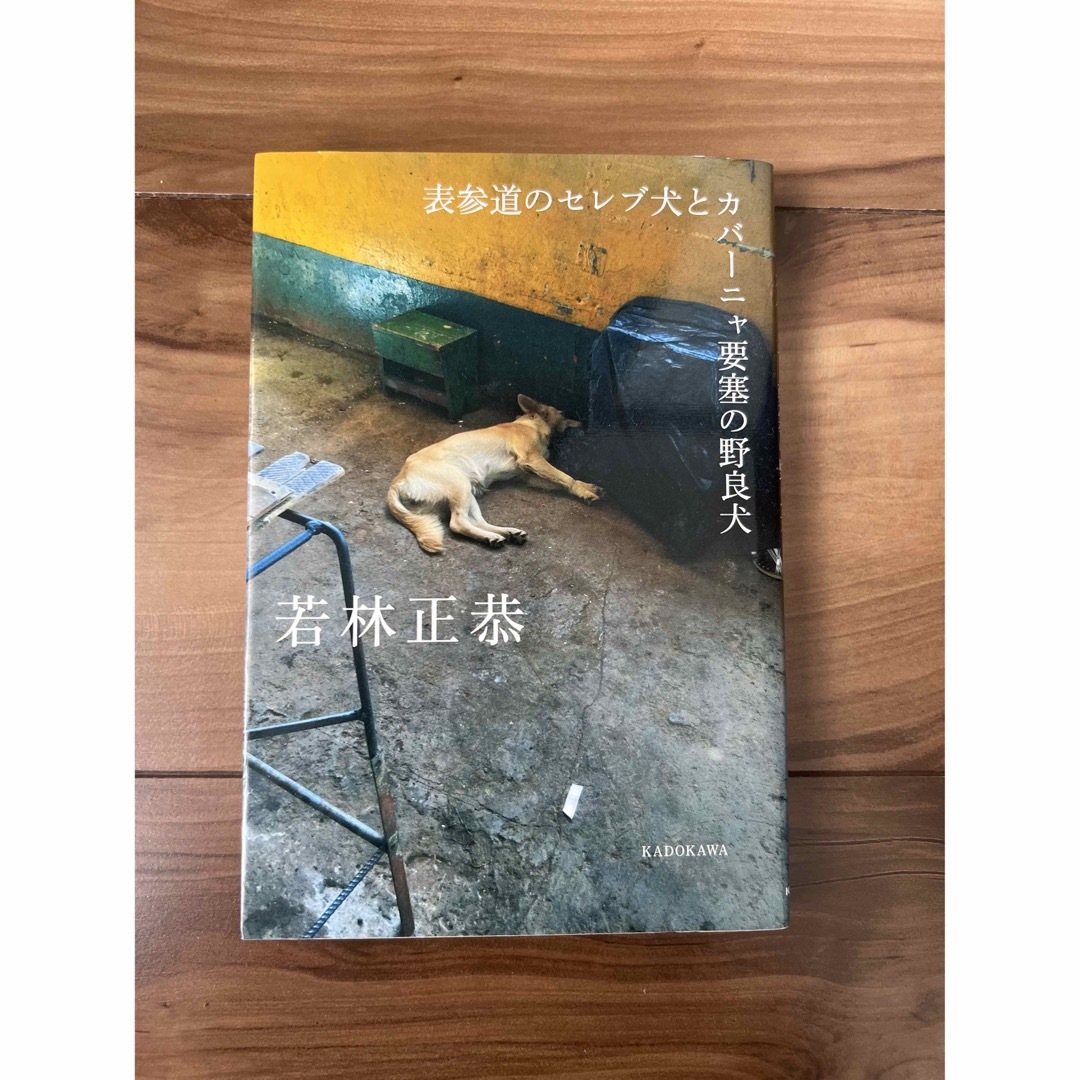 角川書店(カドカワショテン)の「表参道のセレブ犬とカバーニャ要塞の野良犬」 エンタメ/ホビーの本(アート/エンタメ)の商品写真