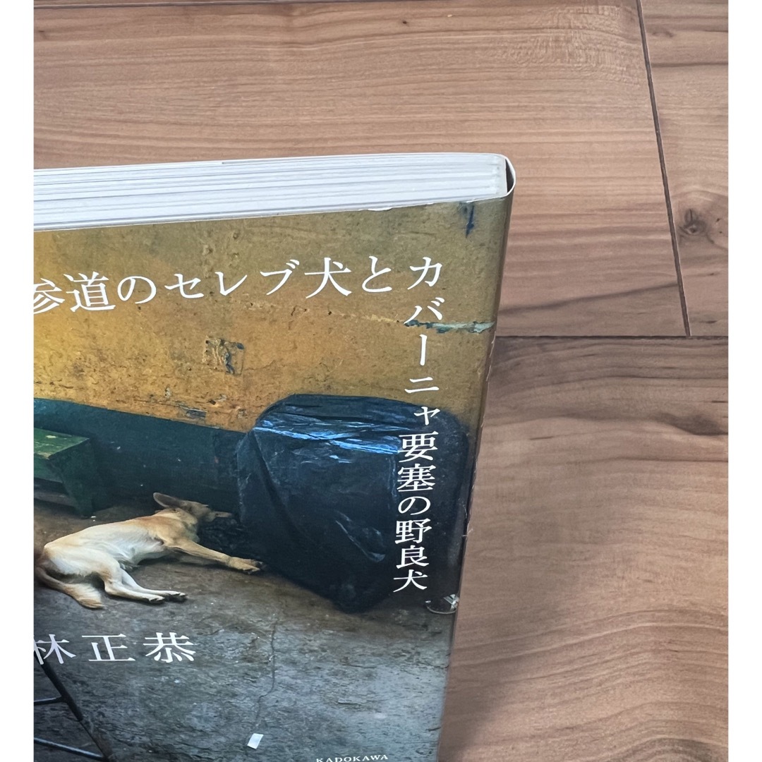 角川書店(カドカワショテン)の「表参道のセレブ犬とカバーニャ要塞の野良犬」 エンタメ/ホビーの本(アート/エンタメ)の商品写真