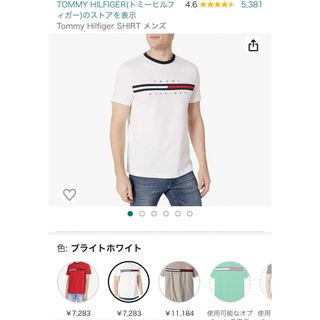 トミーヒルフィガー(TOMMY HILFIGER)の新品未使用　M トミーヒルフィガー　半袖　刺繍　ロゴT(Tシャツ/カットソー(半袖/袖なし))