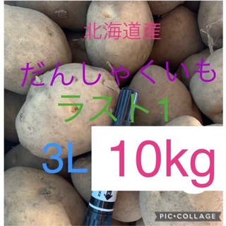【特大】北海道産じゃがいも男爵10kg(野菜)