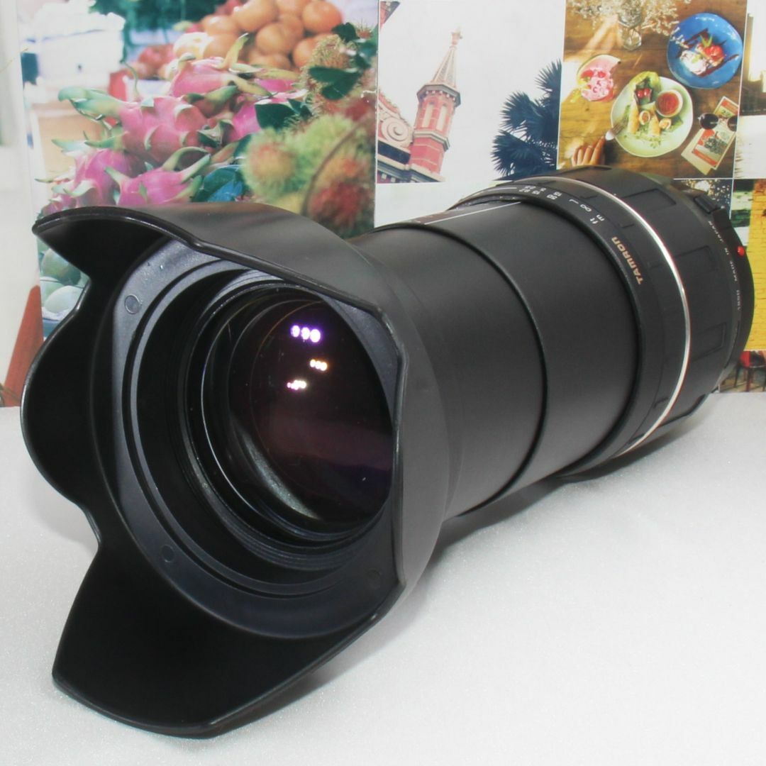 TAMRON 28-300mm Canon用 標準+望遠レンズ - レンズ(ズーム)