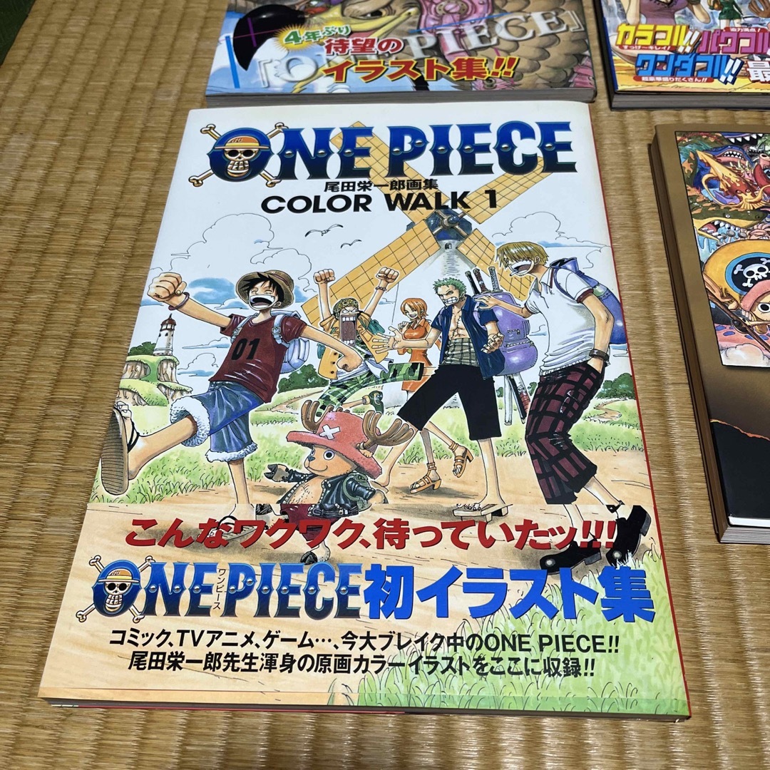 ONE PIECE(ワンピース)のワンピース　イラスト集　ぴあ エンタメ/ホビーの漫画(少年漫画)の商品写真