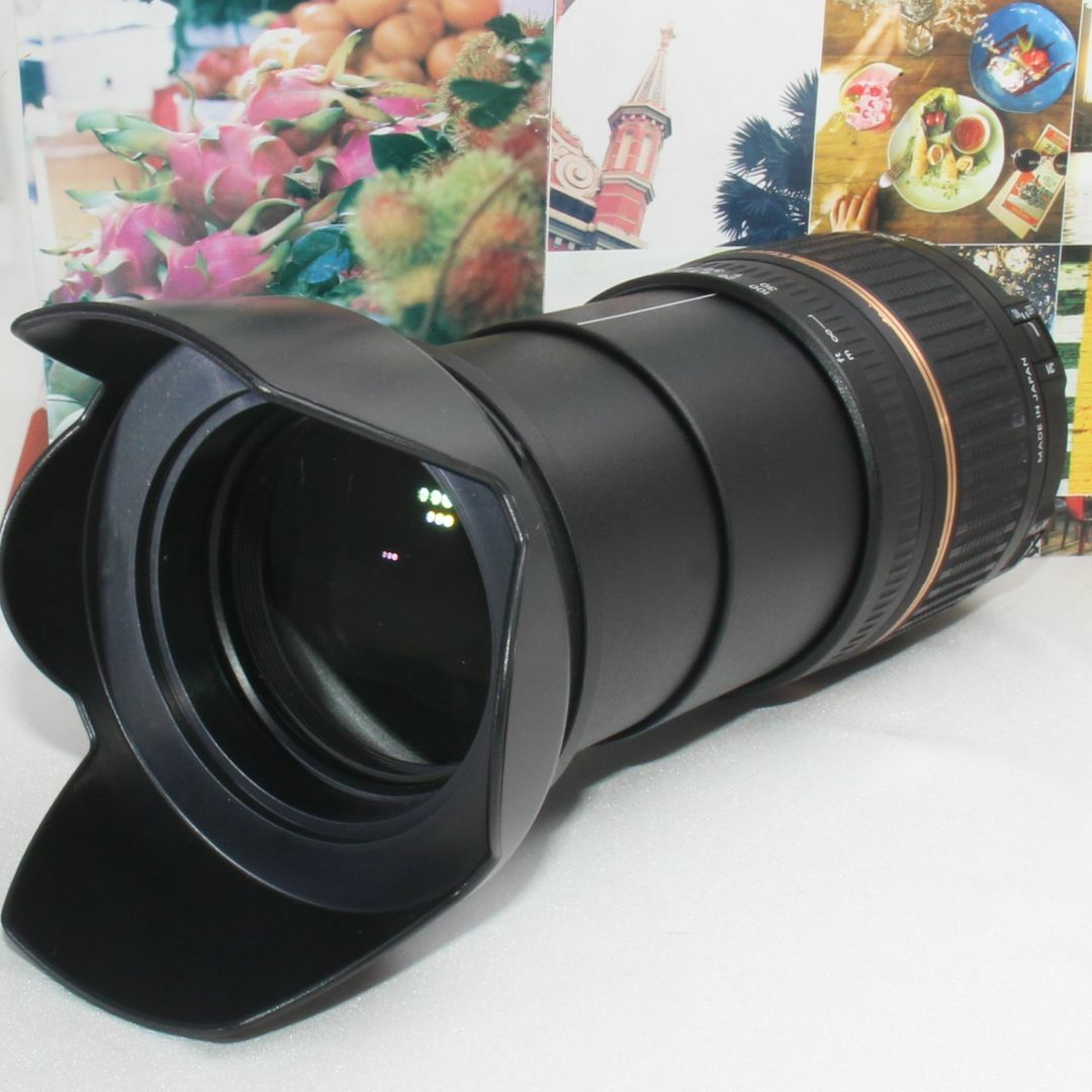 TAMRON 28-300mm Nikon用 標準+望遠レンズ 美品！ - レンズ(ズーム)