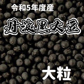 新豆　令和5年度産　丹波黒大豆　1kg(豆腐/豆製品)