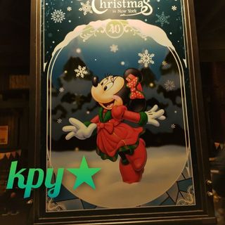 ディズニー(Disney)の🌟としmi様/ディズニー　クリスマス　巾着/アナ雪　ポーチ🌟(キャラクターグッズ)