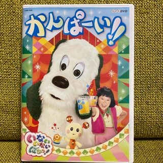 NHKDVD　いないいないばあっ！　かんぱーい！！ DVD(キッズ/ファミリー)