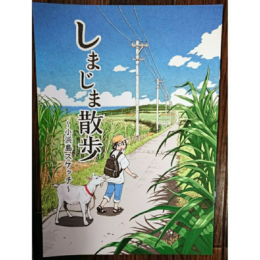 🚢沖縄 八重山 しまじま散歩（５島）& 石垣島や離島の観光情報誌、他 エンタメ/ホビーの本(地図/旅行ガイド)の商品写真