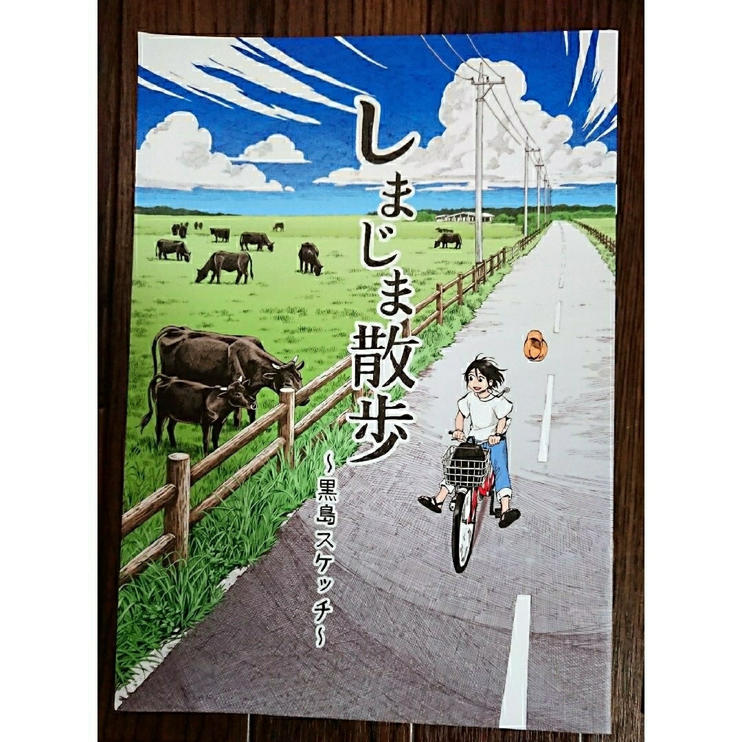 🚢沖縄 八重山 しまじま散歩（５島）& 石垣島や離島の観光情報誌、他 エンタメ/ホビーの本(地図/旅行ガイド)の商品写真