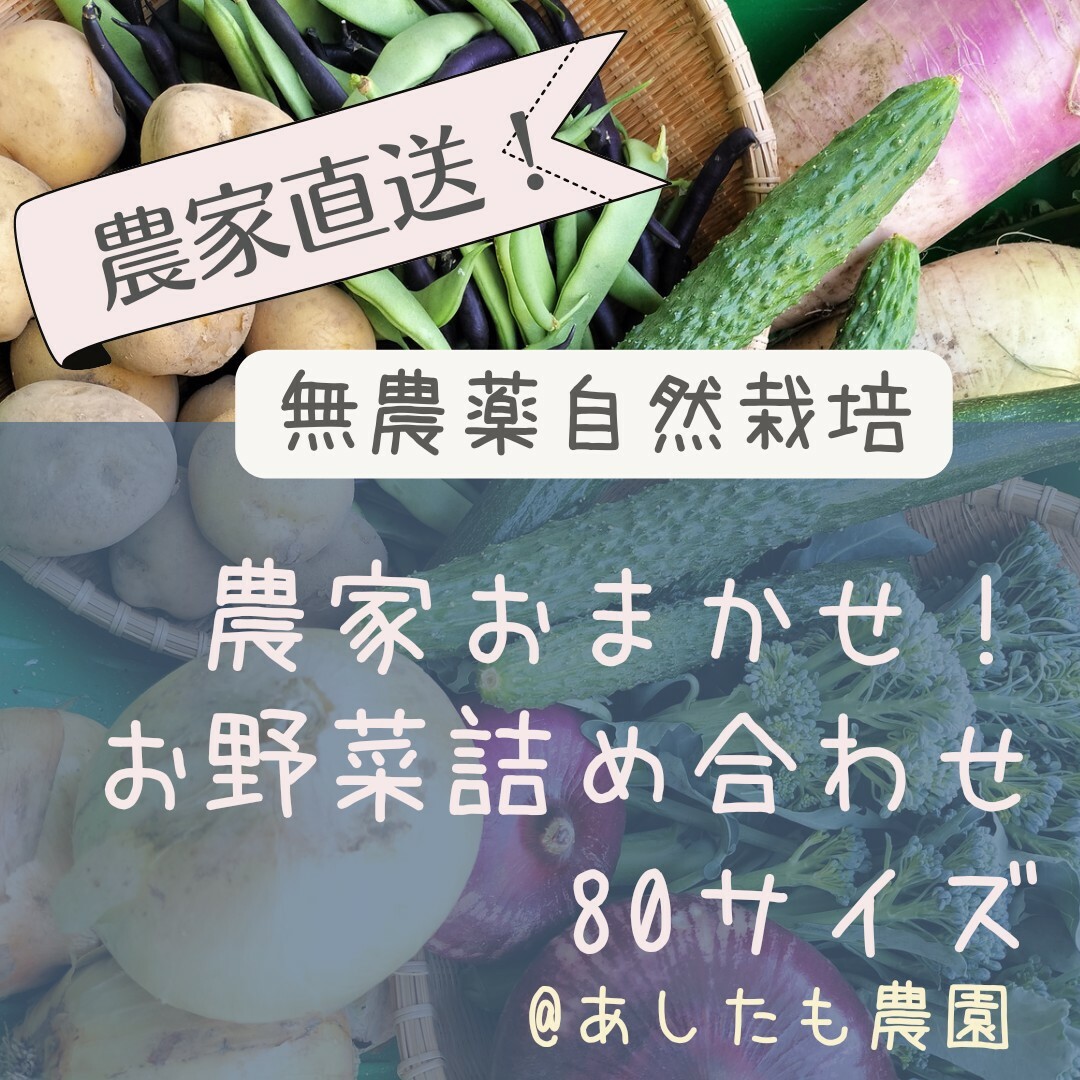 農家おまかせ新鮮野菜詰め合わせ80サイズ 食品/飲料/酒の食品(野菜)の商品写真