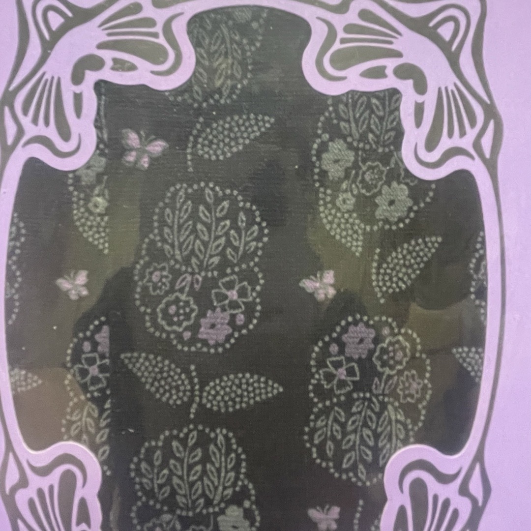 ANNA SUI(アナスイ)の⑱アナスイ ANNA SUI  フラワー柄（80デニール相当）タイツ　M～L レディースのレッグウェア(タイツ/ストッキング)の商品写真