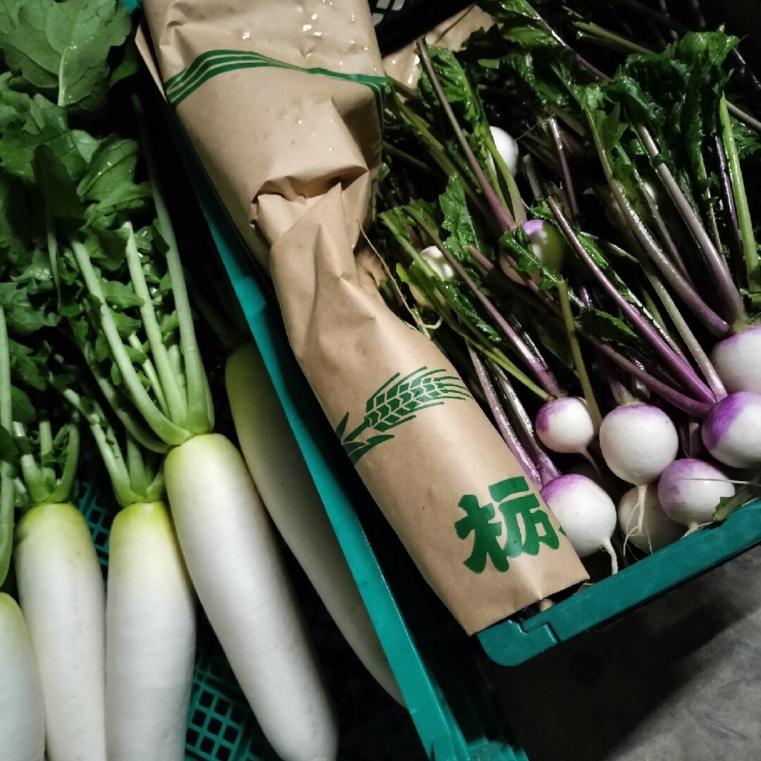 農家おまかせ新鮮野菜詰め合わせ100サイズ 食品/飲料/酒の食品(野菜)の商品写真