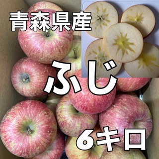 青森県産 りんご 蜜入り サンふじ 6キロ(フルーツ)