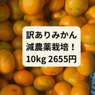 香川県産みかん　訳ありみかん　10キロ(フルーツ)