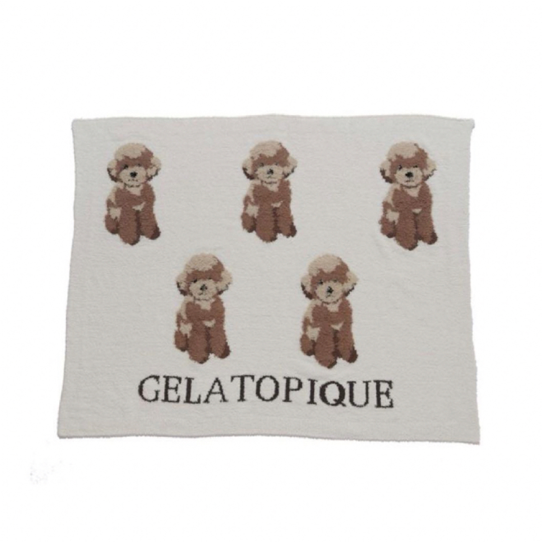gelato pique(ジェラートピケ)のトイプードルジャガードブランケット レディースのファッション小物(その他)の商品写真