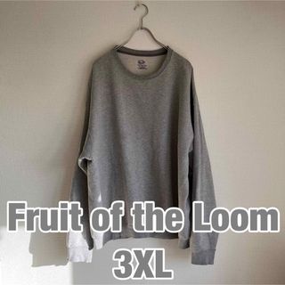 フルーツオブザルーム(FRUIT OF THE LOOM)のフルーツ　オブ　ザ　ルーム　Fruit of the loom 3XL(スウェット)