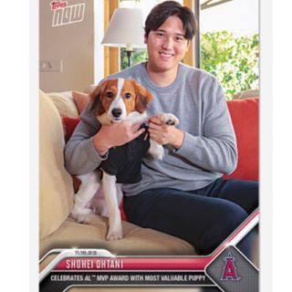 カードローダー付き★完売商品★大谷翔平選手＆愛犬2ショット「MVP」カード(シングルカード)