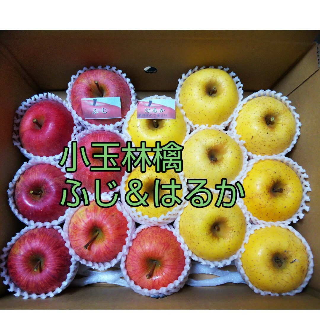 小玉林檎はるか＆ふじセット１５個 食品/飲料/酒の食品(フルーツ)の商品写真