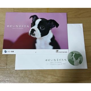 ソニー(SONY)のカレンダー　壁掛け　2024年　ソニー生命　ゆかいな子犬たち(カレンダー/スケジュール)