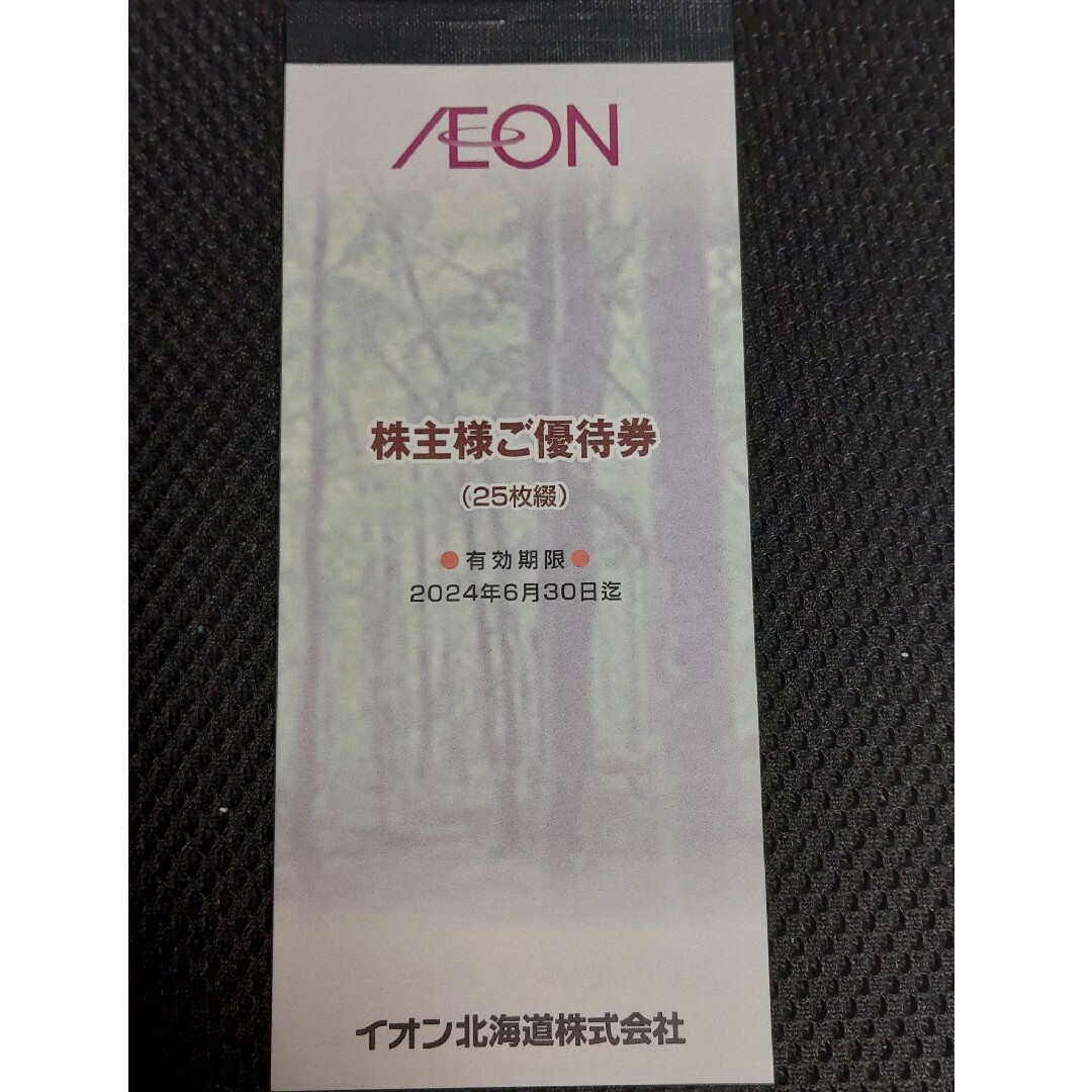 2500円分 イオン北海道 株主優待券 2024.6.30迄 マックスバリュー チケットの優待券/割引券(ショッピング)の商品写真