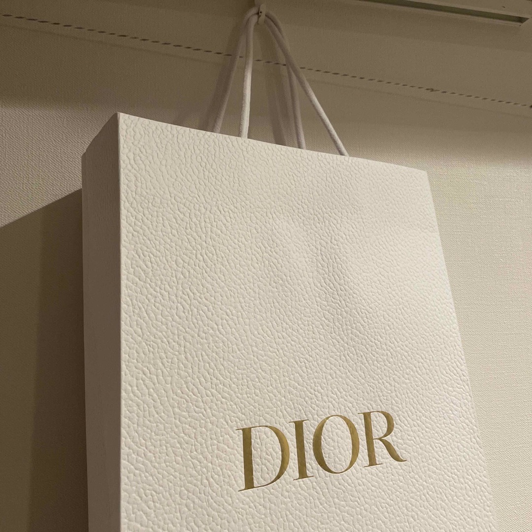 Dior(ディオール)のDIOR ショッパー ショップ袋 レディースのバッグ(ショップ袋)の商品写真
