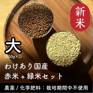 【大】赤米+緑米セット 500g×2 令和5年産 家庭栽培 無農薬 わけあり(米/穀物)
