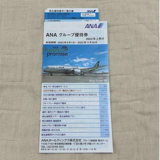 エーエヌエー(ゼンニッポンクウユ)(ANA(全日本空輸))のANA優待券(その他)