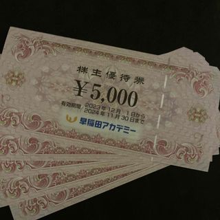 早稲田アカデミー　25000円分(その他)