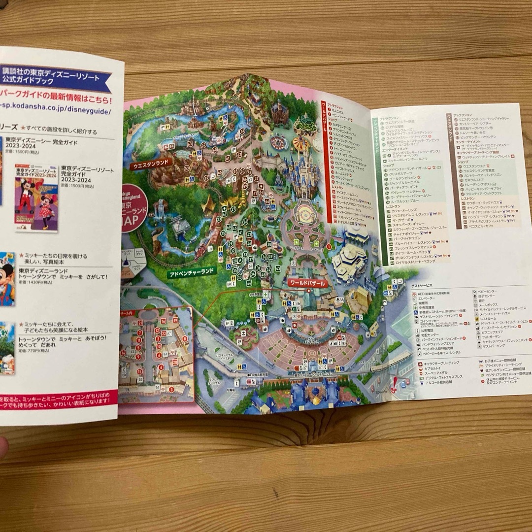 東京ディズニーランド完全ガイド エンタメ/ホビーの本(地図/旅行ガイド)の商品写真