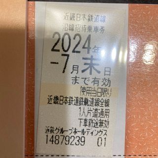 キンテツヒャッカテン(近鉄百貨店)の【同梱用】近鉄　株主優待乗車券　1枚(その他)