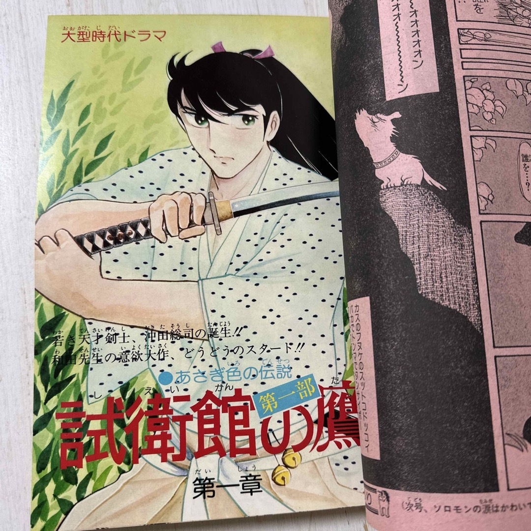 創刊2号  LaLa  ララ　　昭和51年11月1日発行 エンタメ/ホビーの雑誌(アート/エンタメ/ホビー)の商品写真