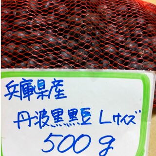 丹波黒黒豆　500グラム兵庫県産(豆腐/豆製品)
