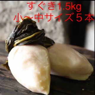 大好評！京都上賀茂 京漬物すぐき 1.5kg(小〜中サイズ5本)  ご進物にも(漬物)