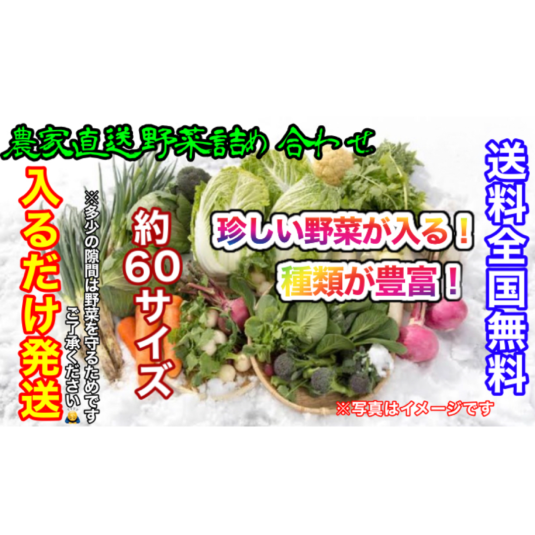 おまかせ冬野菜詰め合わせ約60サイズ入るだけ発送!最終値下げ! 食品/飲料/酒の食品(野菜)の商品写真