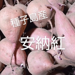種子島産安納紅ミニ・2Sサイズ混合5キロ(野菜)