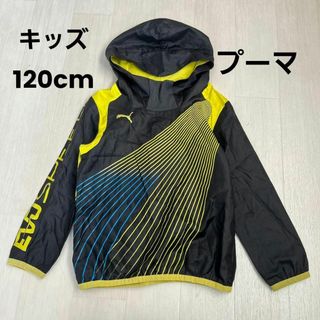 プーマ(PUMA)のプーマ PUMA キッズピステ120cm(その他)