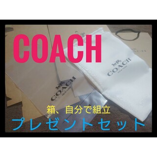 コーチ(COACH)のCOACH コーチ　保存袋(ショップ袋)