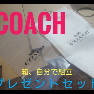 コーチ(COACH)のCOACH コーチ　保存袋(ショップ袋)