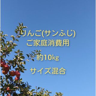 りんご(サンふじ)訳ありご家庭消費用 約10kg(フルーツ)